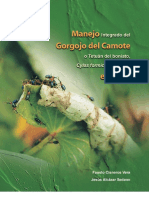 CAMOTE.pdf