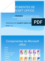 Componentes de Microsoft Office