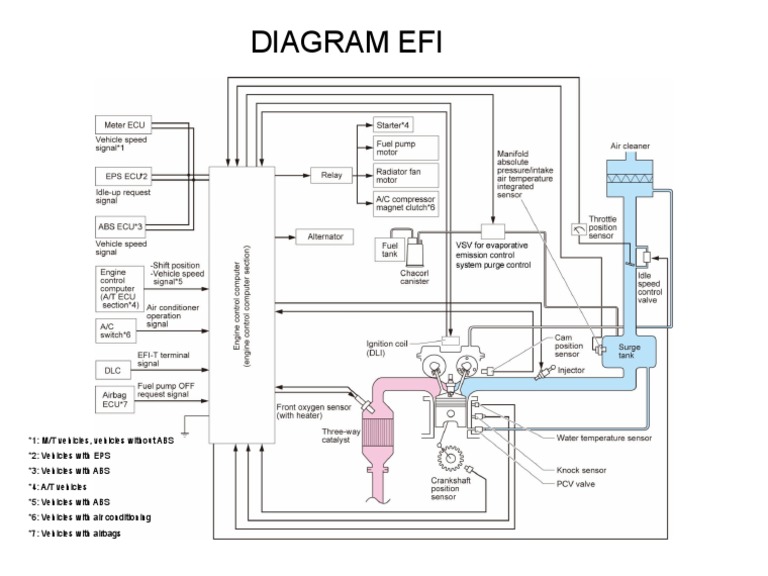 Presentation EFI | PDF