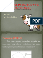 Tympani Pada Ternak Ruminansia