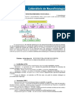 neuromoduladores_nocaogeral_simonebittencourt.pdf