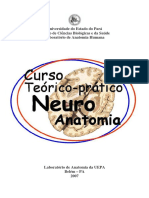 Neuroanatomia.pdf