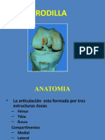 1. Anatomia de La Rodilla