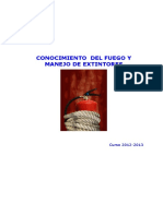 JOYFESA FORMACION FUEGO.pdf