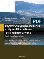 Physical Stratigraphy and Facies Analysis of The Castissent Tecto-Sedimentary Unit