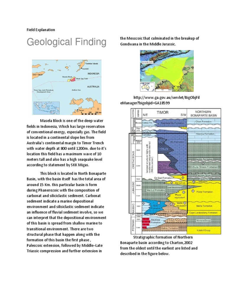 Masela Block: Indonesia's Gas Potential | PDF | Petroleum Reservoir ...