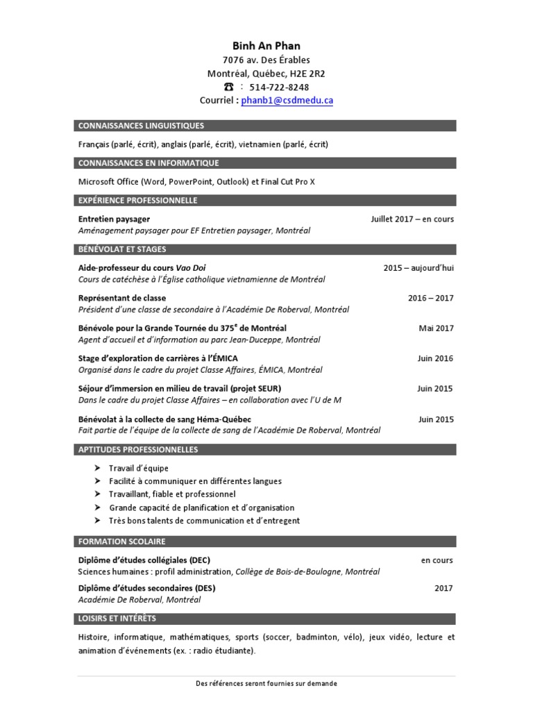 Curriculum vitae benevolat 07 picture