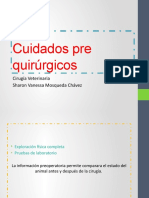 Cuidados Pre Quirúrgicos