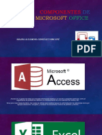 Componentes de Microsoft Office