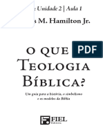 O Que é Teologia Bíblica-CFL.pdf