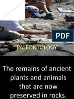 Geology Reviewer: Paleontology