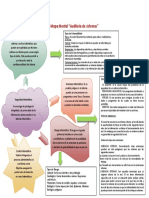 Mapa Mental Auditoria