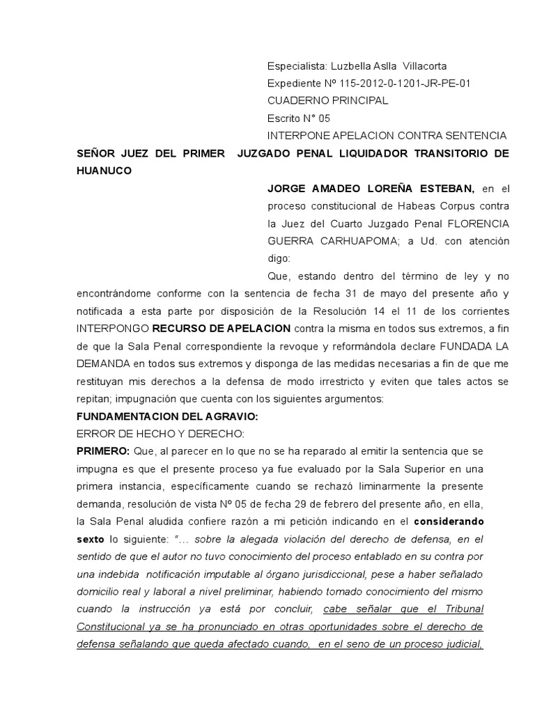 Recurso de Apelacion de Sentencia | PDF | Habeas corpus | Debido al proceso