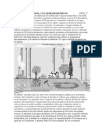 fotosintesis ciclo de C.pdf