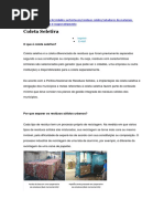 Ministerio Do Meio Ambiente