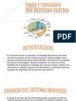 Anatomia y Fisiologia Del Sistema Nervioso Central