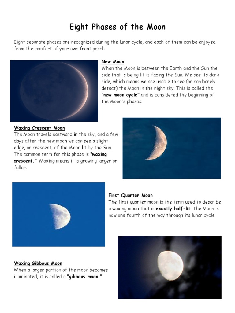 Phasesofthemoon | PDF | Moon | Periodic Phenomena