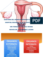 Anatomía Del Aparato Genital Femenino - Fernando Vázquez Rivera