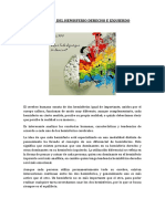 Funciones El Hemisferio Derecho e Izquierdo