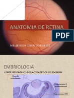 Anatomia Retina