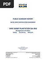 Sime Darby Summary Report PDF