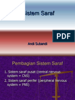 Rev Anfis Sistem Saraf