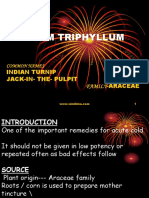 Arum Triphylum