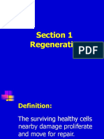 Regeneration: The Process of Repair and Healing