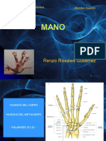 Anatomia Clase 5 Mano