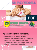 Presentation Penyuluhan Kanker Payudara