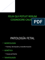 Patologia Fetal
