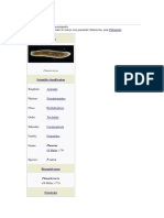 Planaria: For The Common Name Given To Many Non-Parasitic Flatworms, See