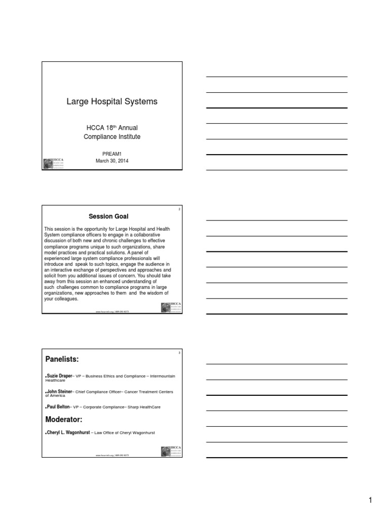 Large Hospital Systems | PDF | Internal Audit | Audit