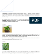 Plantas medicinales: usos y beneficios