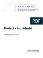 Proiect Impaduriri PDF