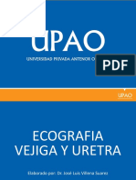 DIAGNOSTICO POR IMÁGENES VETERINARIA Vejiga y Uretra