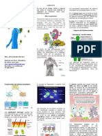 Sistema Inmunológico Tríptico