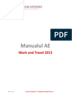 american experience - manual.pdf