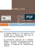 Diabetes Mellitus Ip Mirelle Kramis 131109