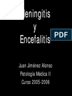 meningitis20052006.pdf
