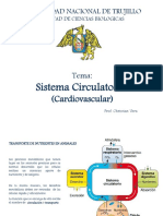 3.1 Sistema Cardiovascular Hemodinamica