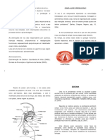 cartilha-orientacoes-vocais.pdf