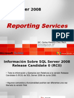 reportingservices-1217610828378574-8.ppt