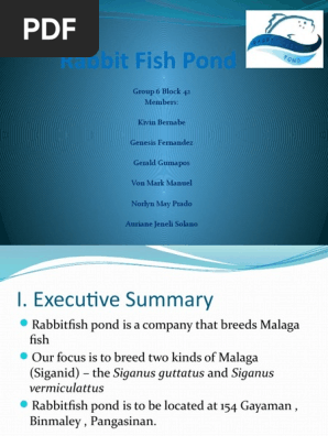Rabbit Fish Pond (Powerpoint)