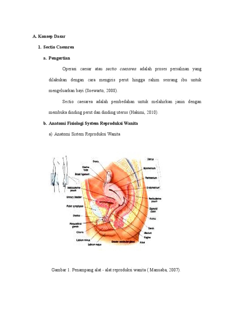 Mening ideal jinsiy aloqam: mening ayol erotik fantaziyalarim