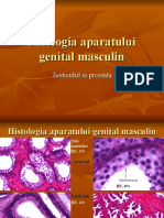 Curs 5 Patologia Aparatului Genital Masculin