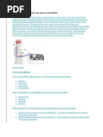 Download Pengertian Gerak Refleks Dan Jenis Gerak Refleks by Restu Yogi Fahlevi SN353971112 doc pdf