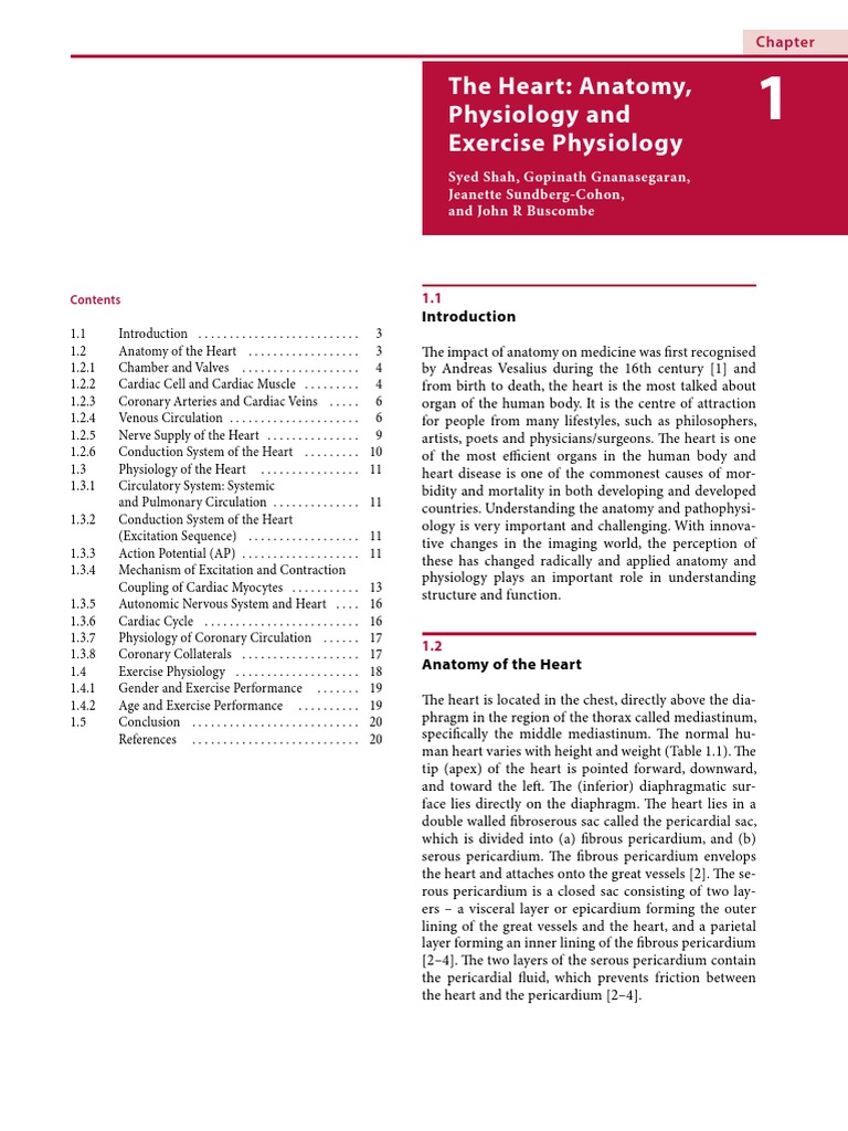 The Heart Anatomy Pdf Heart Valve Coronary Circulation