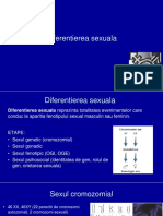  Diferentierea Sexuala - Dr. Sirbu