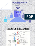 Nervii Cranieni 2